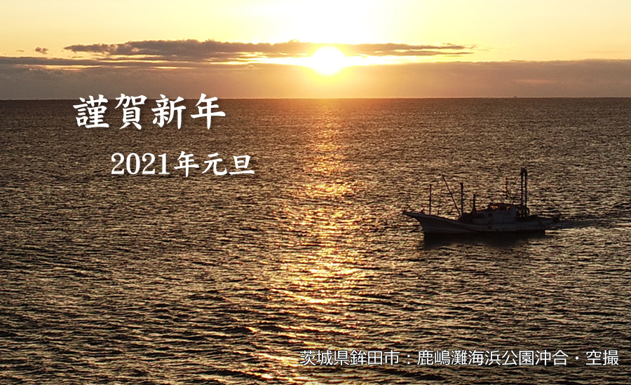 茨城県鹿島灘海浜公園の2021年初日の出