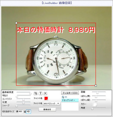 1-1:ライブカメラ画像自動取得ウェブデータ作成システム 【LiveBuilder 】 特許第3924702号_2 1-1:ライブカメラ画像自動取得ウェブデータ作成システム 【LiveBuilder 】 特許第3924702号_2